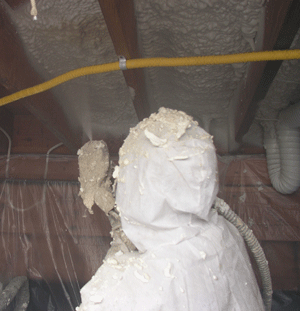 Houston TX crawl space insulation